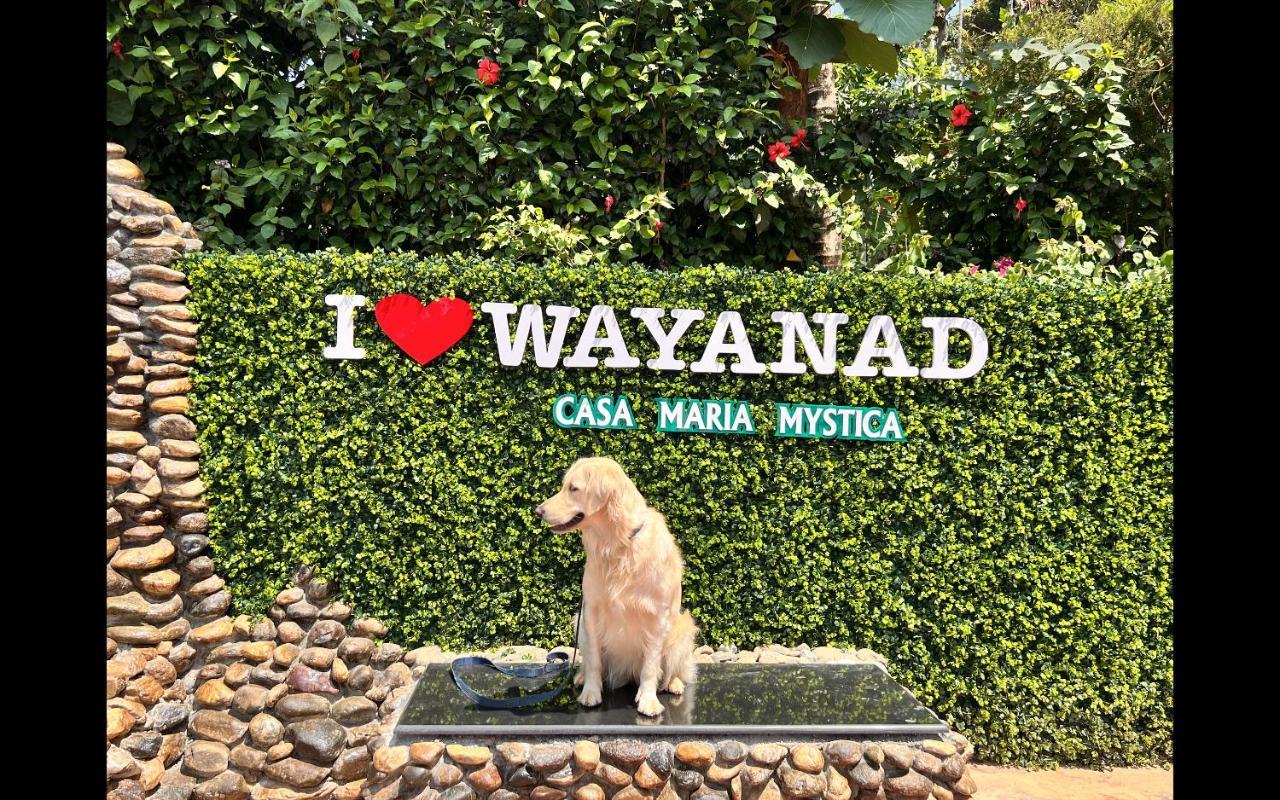 Casa Maria Mystica Apartments, Mananthavady, Wayanad מראה חיצוני תמונה